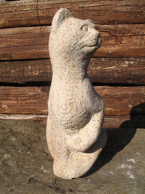 Katze,Humpel (3).JPG